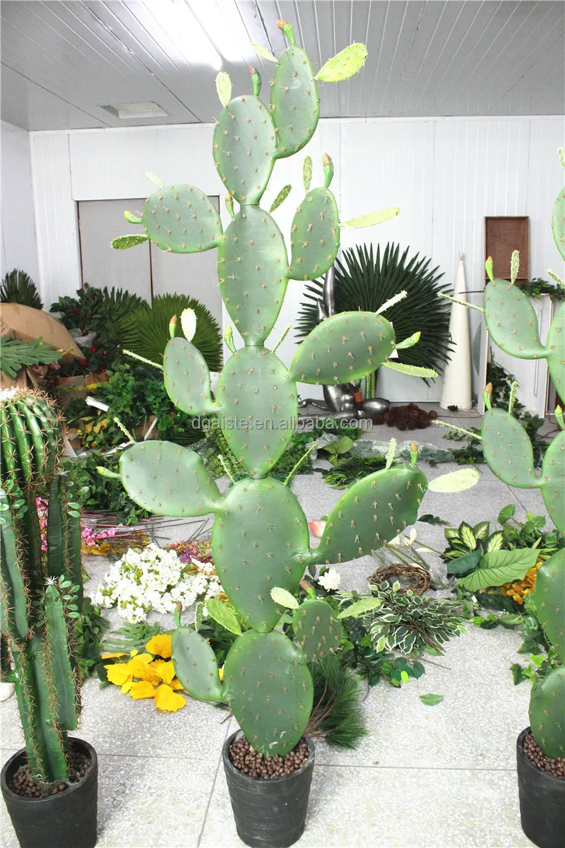 Inspirational 44 Cactus Decor Garden 2021