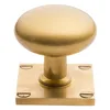 Brass center round door knob , square furniture knob