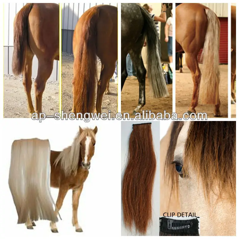 Pure White Genuine Horse Hair Tail Extension 3/8Lb 28-30" AQHA W1S w/ FREE BAG 