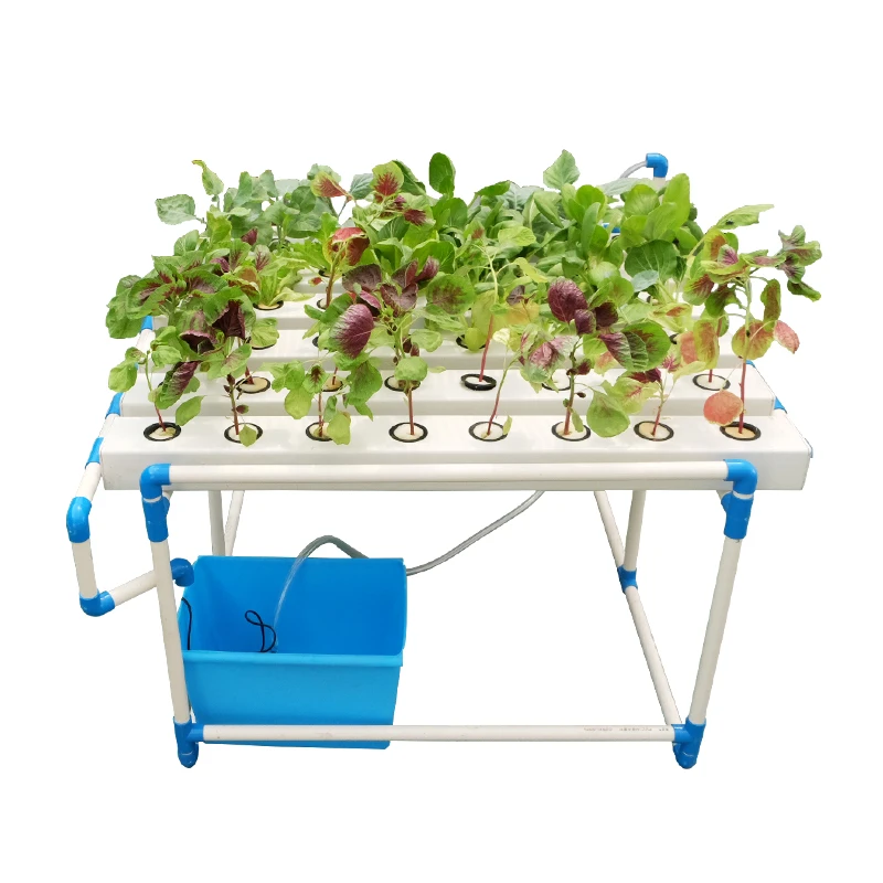 hydroponics3.jpg