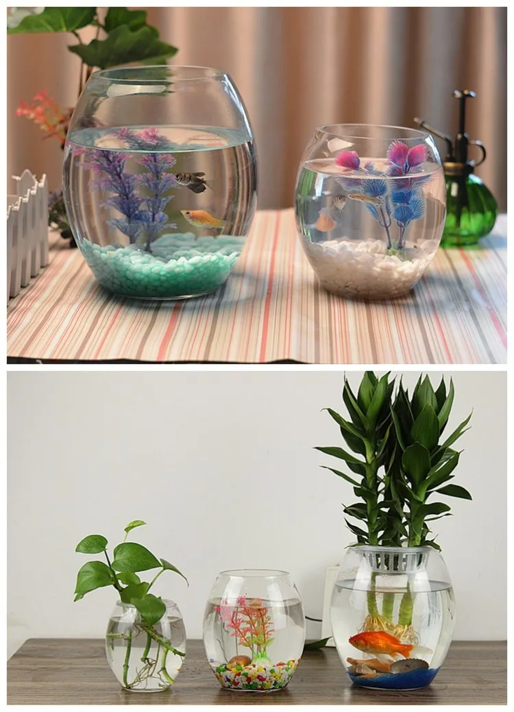 High Quality Desktop Multi-shaped Clear Mini / Large Glass Fish Bowl