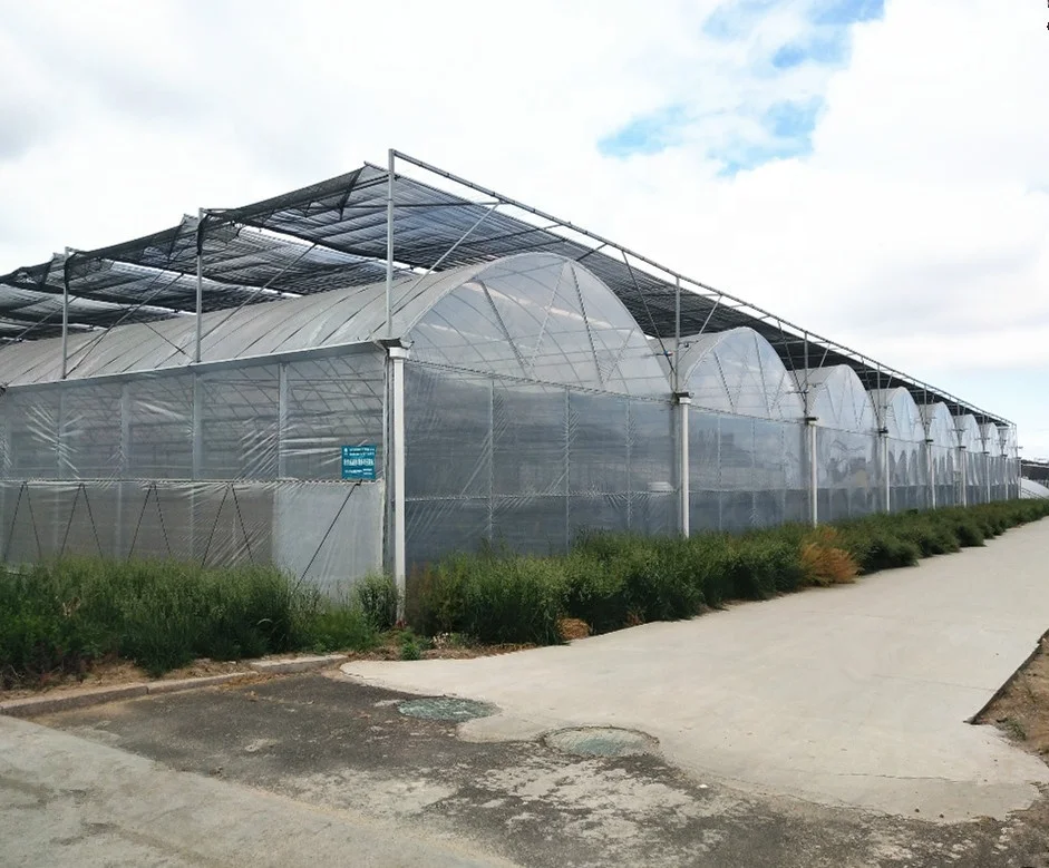 所有行业  农业 农用机械与设备  大棚 连栋温室
