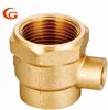 Lead Free Brass Fitting Connection Pipe with Hexagonal Type