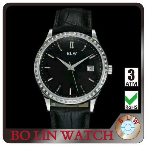 polit watch instructions