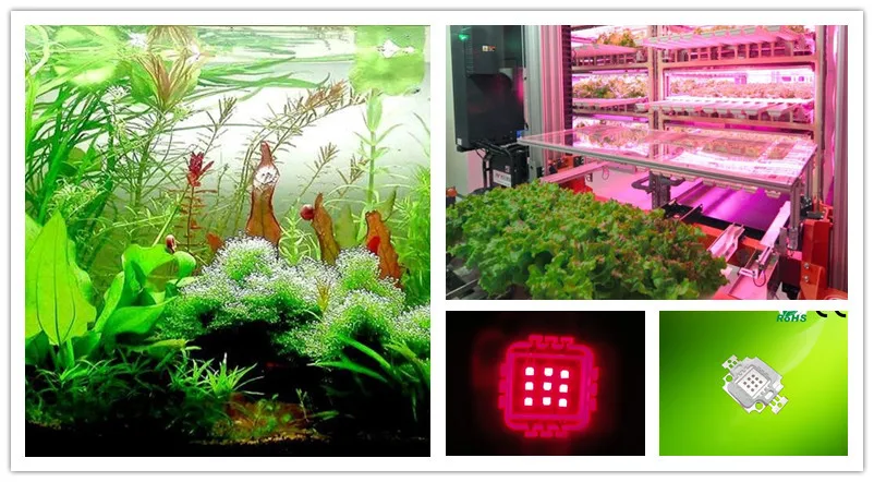 10w red led application.jpg