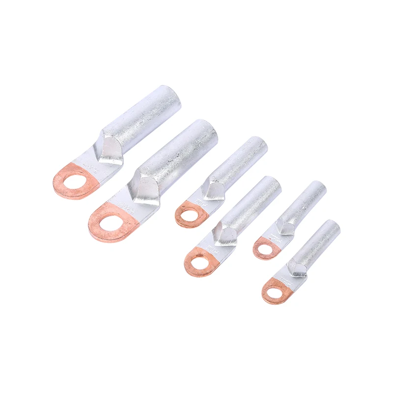 electric contactor and terminal