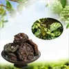 Nuo li guo weight loss herb medicine dried noni slice from hainan