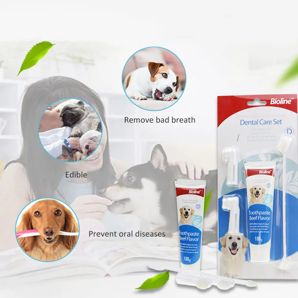 is mint toothpaste bad for dogs