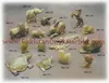 Dolphin, Bear, Mouse, Rabbit, Frog, Turtle, Swan, Elephant, Owl, fish, Dog, Cat, Camel, Parrots, Squirrel