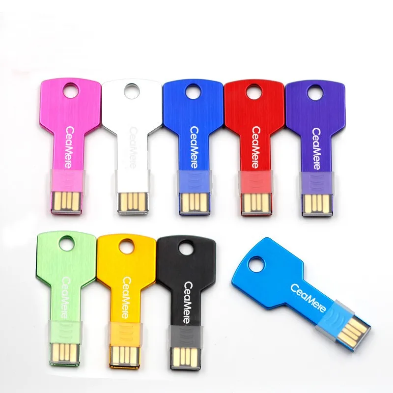 brand chip custom logo printing metal key shape custom usb