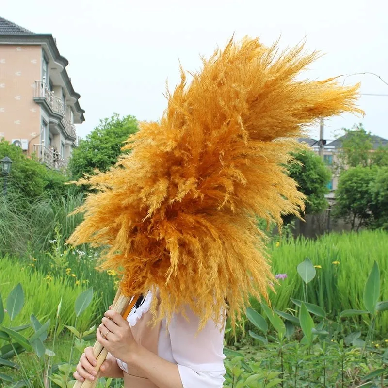 80cm Length Wedding Artificial Pampas Natural Dried Decorative Pampas