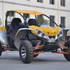 Euro 4 EEC 1100cc 4x4 Road Legal Dune Buggy