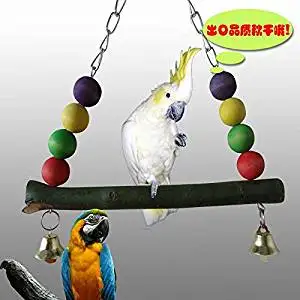 macaw swing