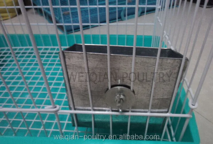 Galvanized Rabbit Automatic Feeder Automatic Water Feeder For