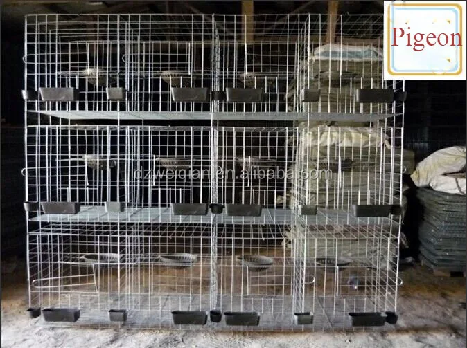 Pigeon Cage,Best Sale Metal Pigeon Cage,Galvanized Layer Pigeon Cage