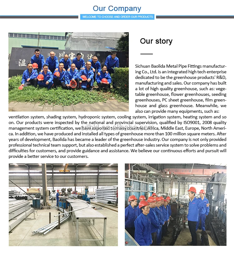 Our Company