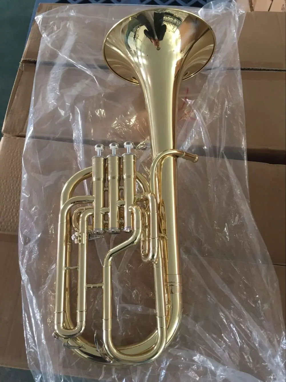 Alto Horn 4.jpg