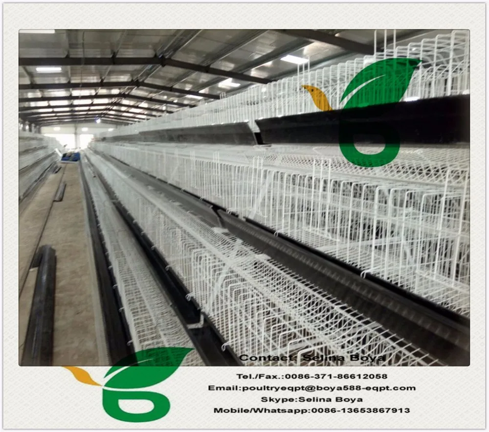  Poultry Layer Cages With Feed System For Rabbit,Design Layer Chicken