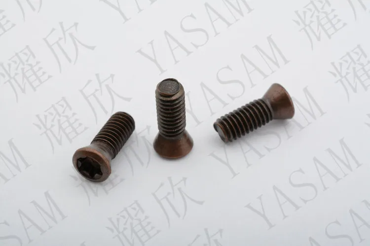 screw for inserts (13)