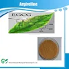 GMP Manufacturer supply Green tea extract 50% EGCG 20% with free samples at best price CAS No.: 989-51-5