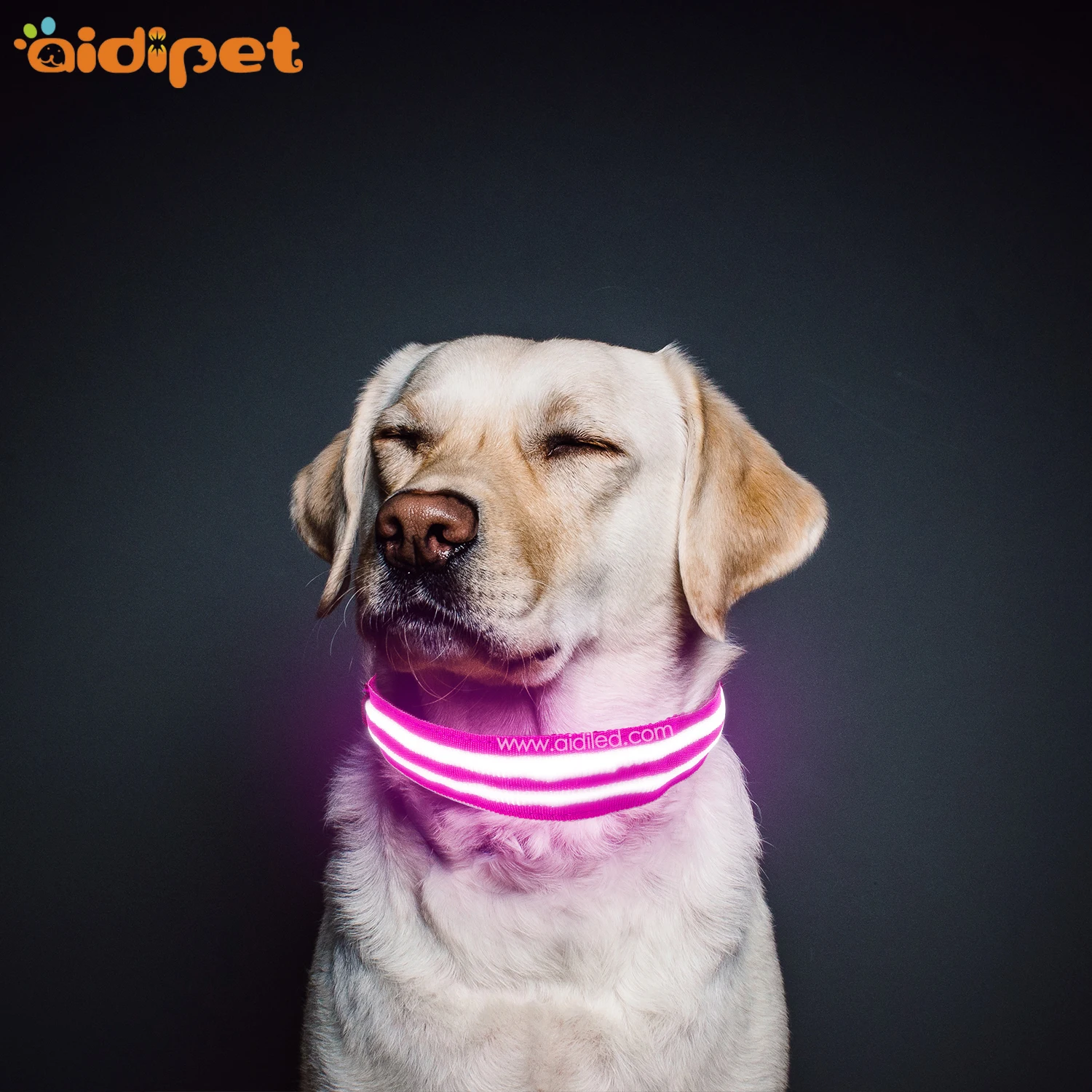 product-AIDI-Wholesale Custom Led Portable Fashionable Dog Collar for Pet Dogs-img-1
