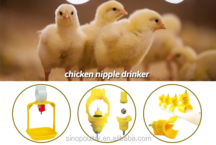 Poultry Feeders Drinkers Automatics Nipple For Hen Buy