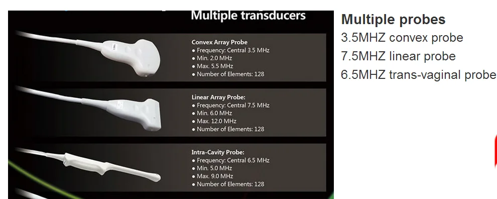 Animal handheld ultrasound Scanner laptop portable ultrasound Machine