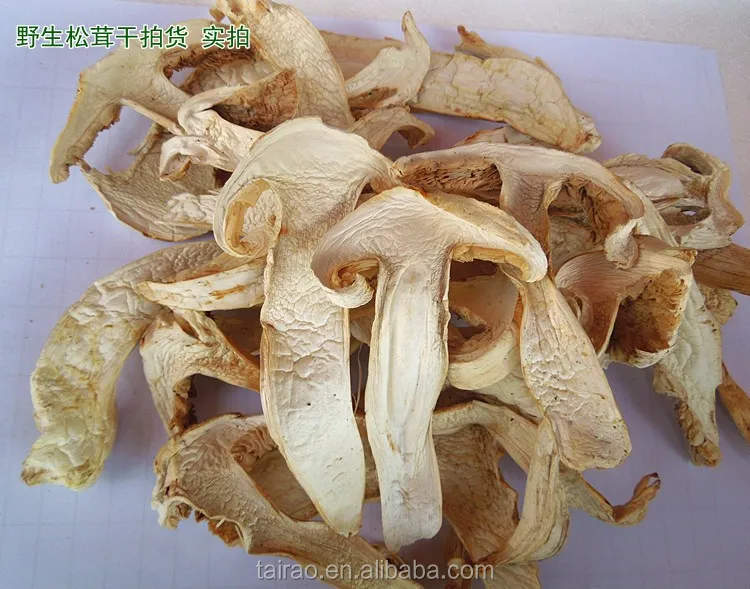 冷冻干白松茸松茸干松茸蘑菇价格最好的松茸 Buy Matsutake Matsutake 蘑菇价格 Trioma Matsutake Product On Alibaba Com