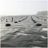 HDPE geomembrane/pond liner