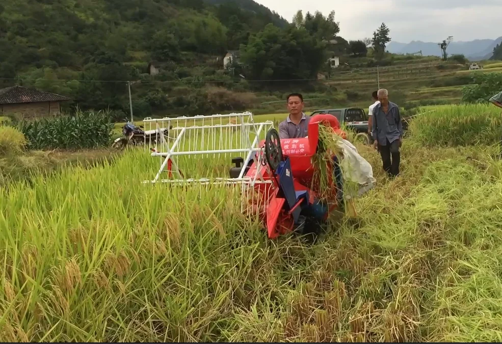 Price Of Rice Harvester Combine Buy Price Of Rice Harvester Combine