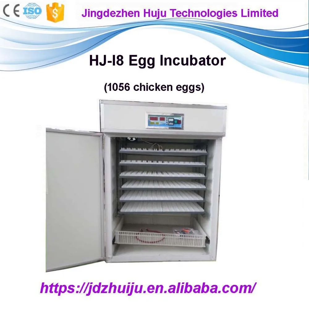 Plastic Egg Tray Various Size Plastic Incubator Egg Tray For Incubator