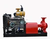 Customized diesel engine pump set
