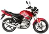 YBR-1 125CChot sell motorcycle