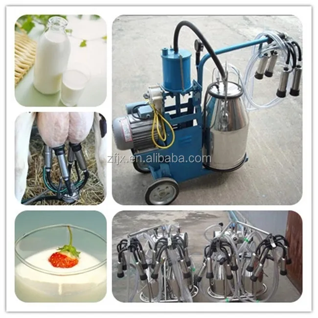 Automatic Cow Milker Single Bucket Milking Machine Buy Automatic Cow
