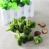 Vacuum fried broccoli chips,vegetable chips,low fat healthy snacks