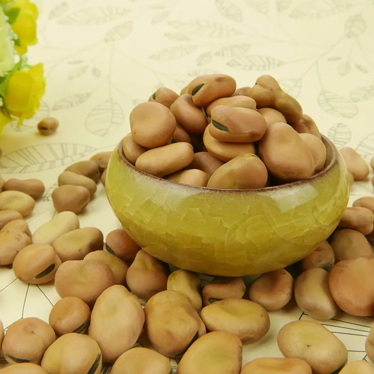 蚕豆浅黄色蚕豆蚕豆食品烹饪