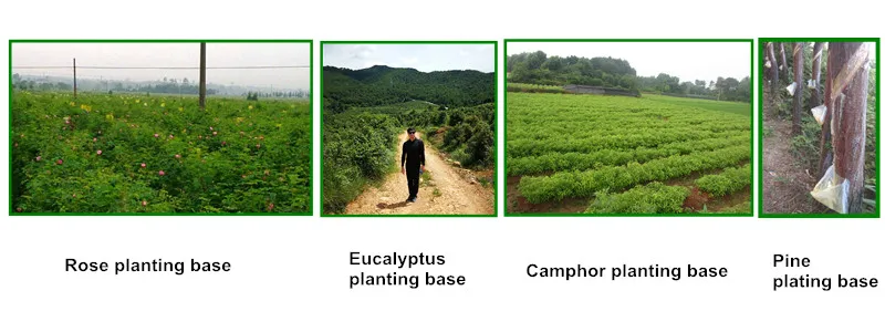 Planting base 2.jpg