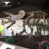 Decoration resin statue dinosaurs skeleton replica