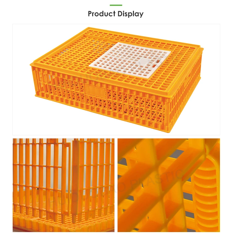 Transport Boxes For Pigeon,Cheap Price Pigeon Cage For Sale