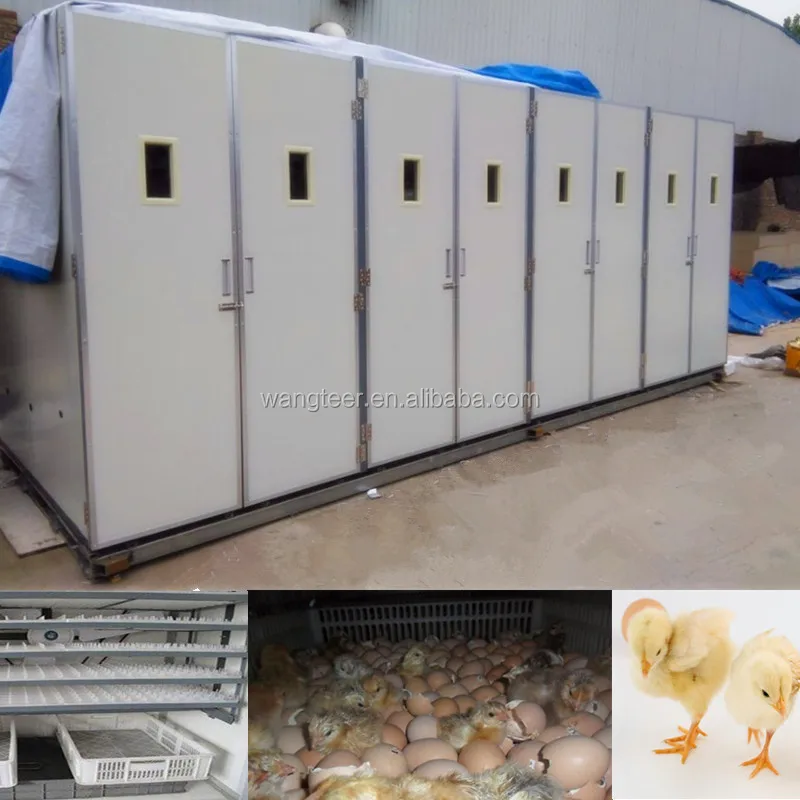 Intelligent incubator controller