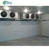 basa fish mushroom greenhouse georgia cold storage vegetables cold storage outside walk in coolers for sale