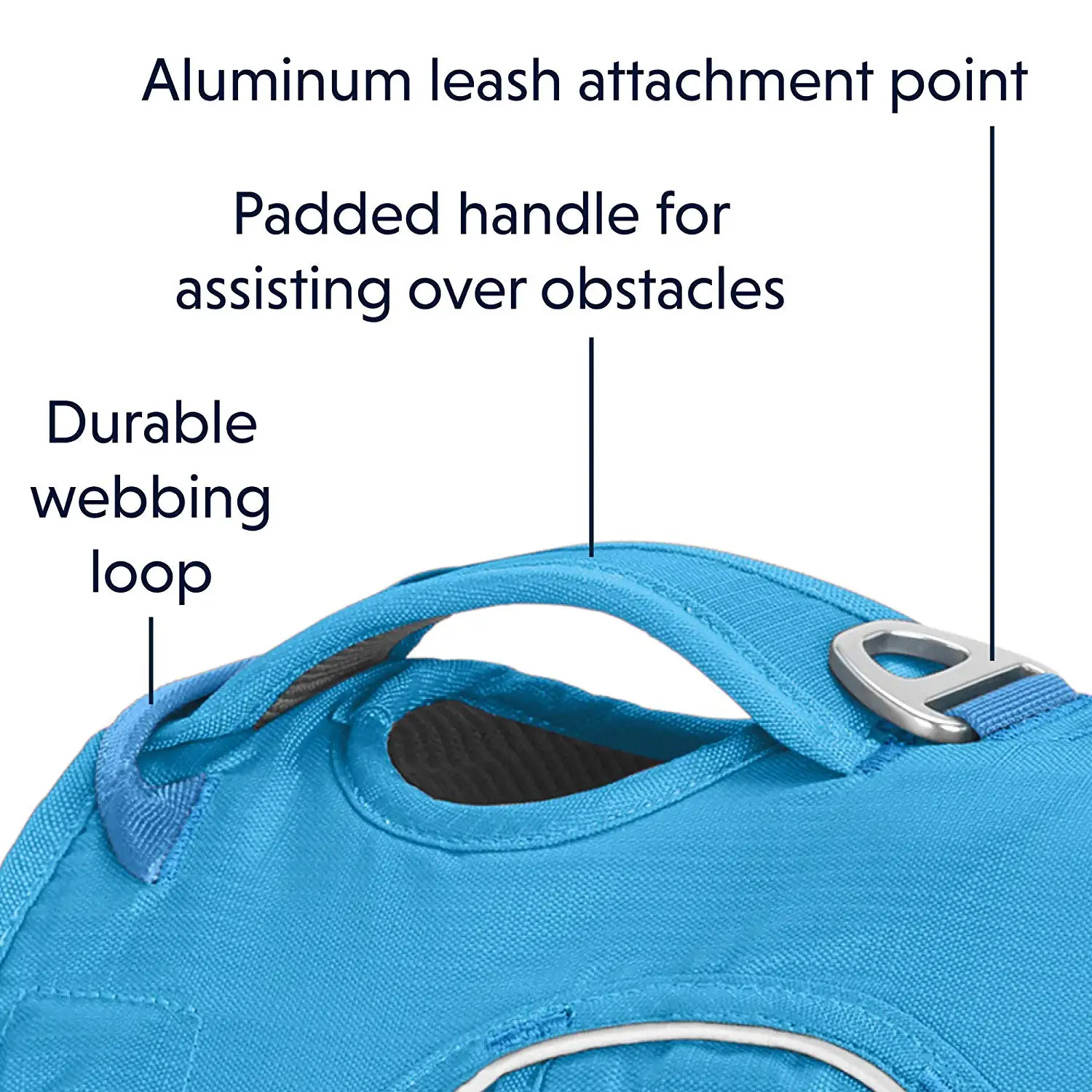 dog  harness  (4).jpg