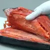 Chum Salmon