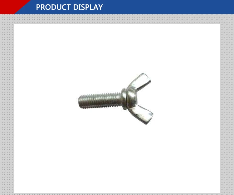 Regular DIN 316 Stainless Steel 316 Wing Screws Fastener Products From ...