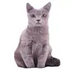Creative feline animal high quality plush toy Cuddly comfort dolls Nice gifts and decorations