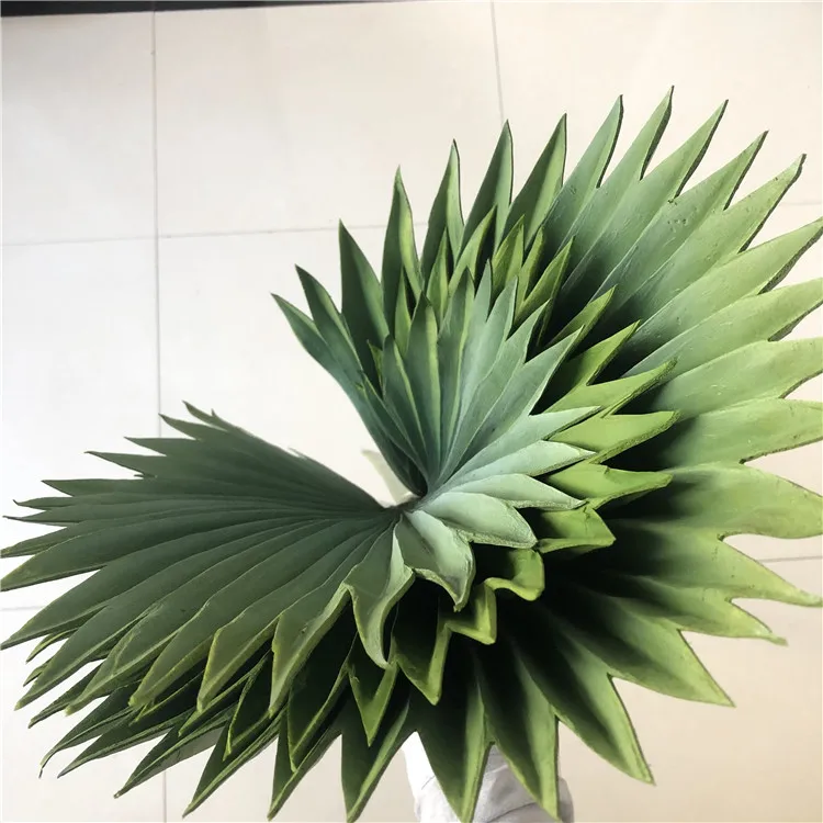 palm tree leaves (1).jpg