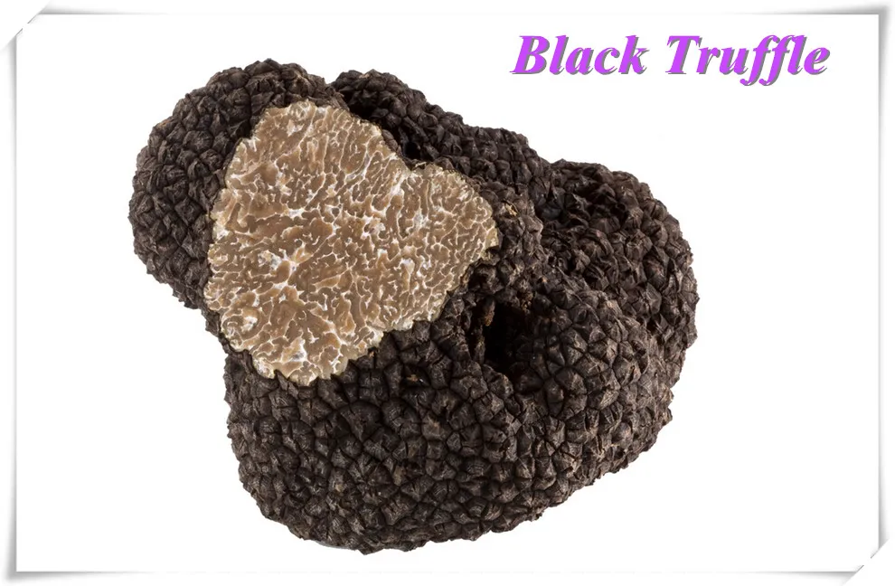 Fresh Truffle Fresh Tuber Indicum Buy Fresh Desert Truffles iqf