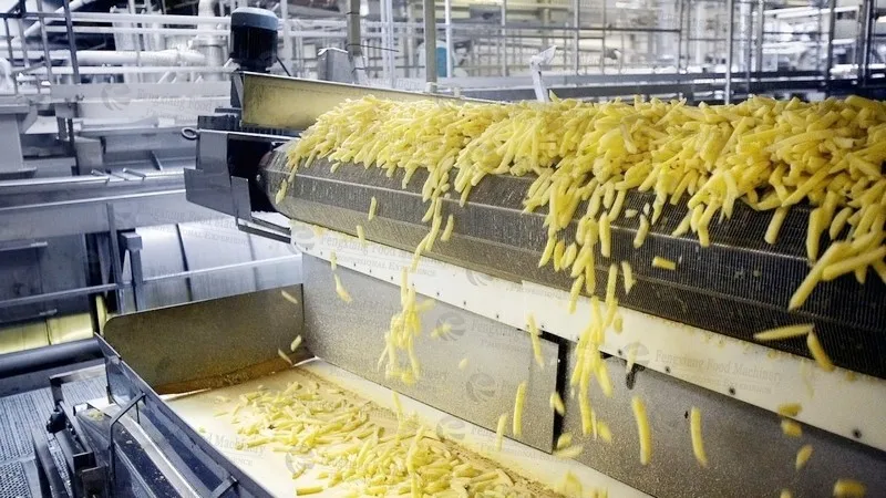 6 french fries processing equipment