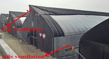 mushroom greenhouse