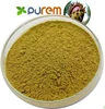 Horse Chestnut Extract Aescin
